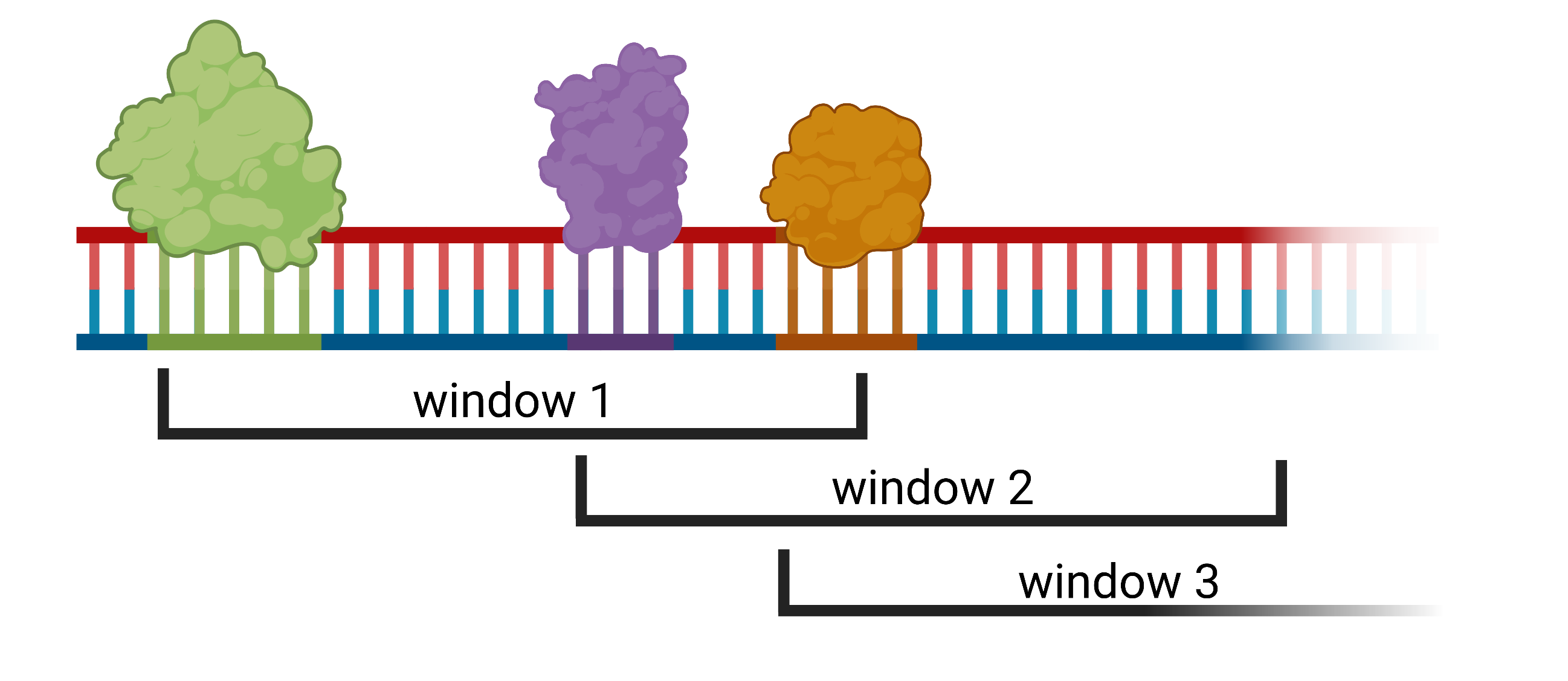 Explanatory figure for windows