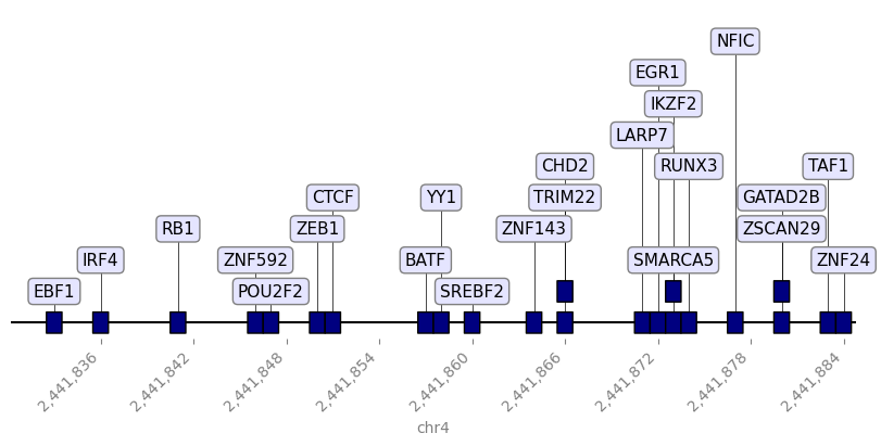 ../_images/examples_plot_TFBS_genome_view_6_0.png
